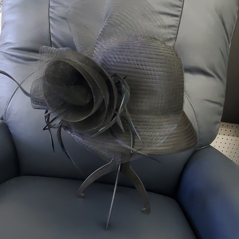 Fancy Hat - Picture 3 of 4